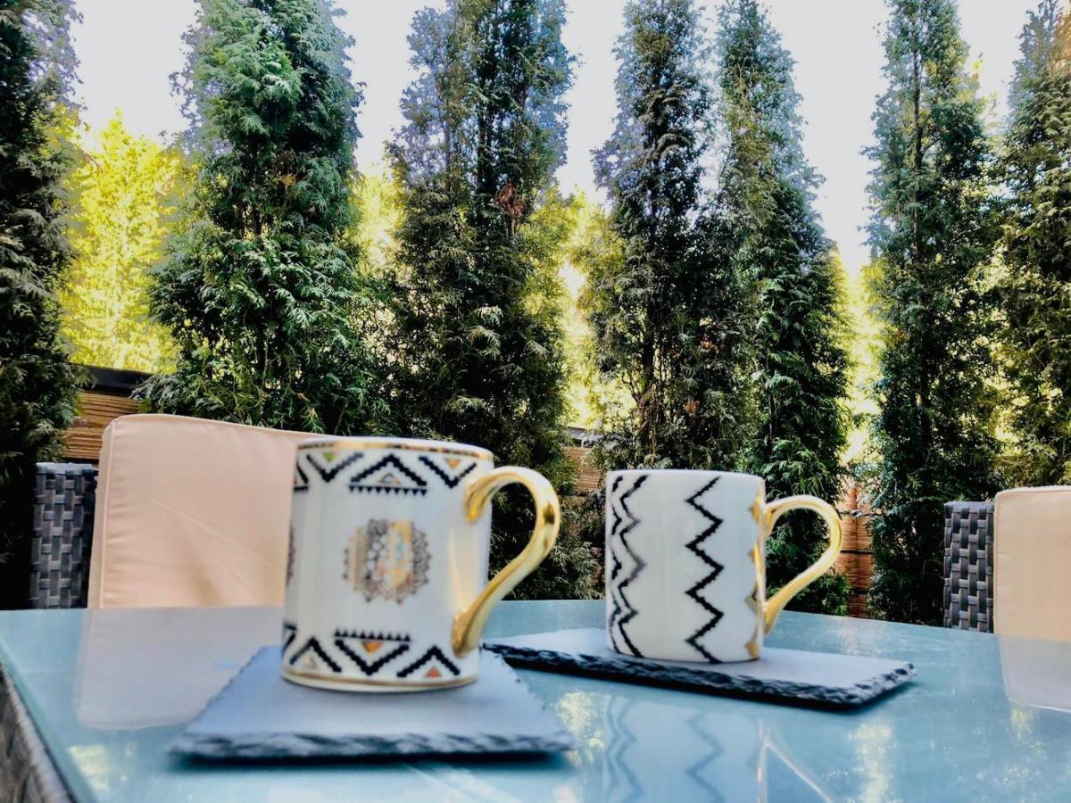Maya Luxury Residence Poiana Brasov Eksteriør billede