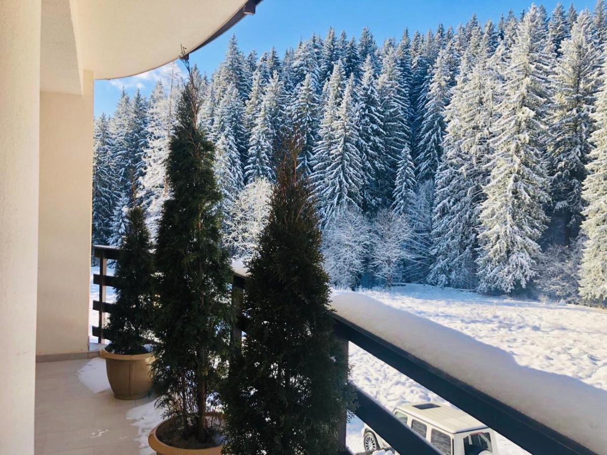 Maya Luxury Residence Poiana Brasov Eksteriør billede
