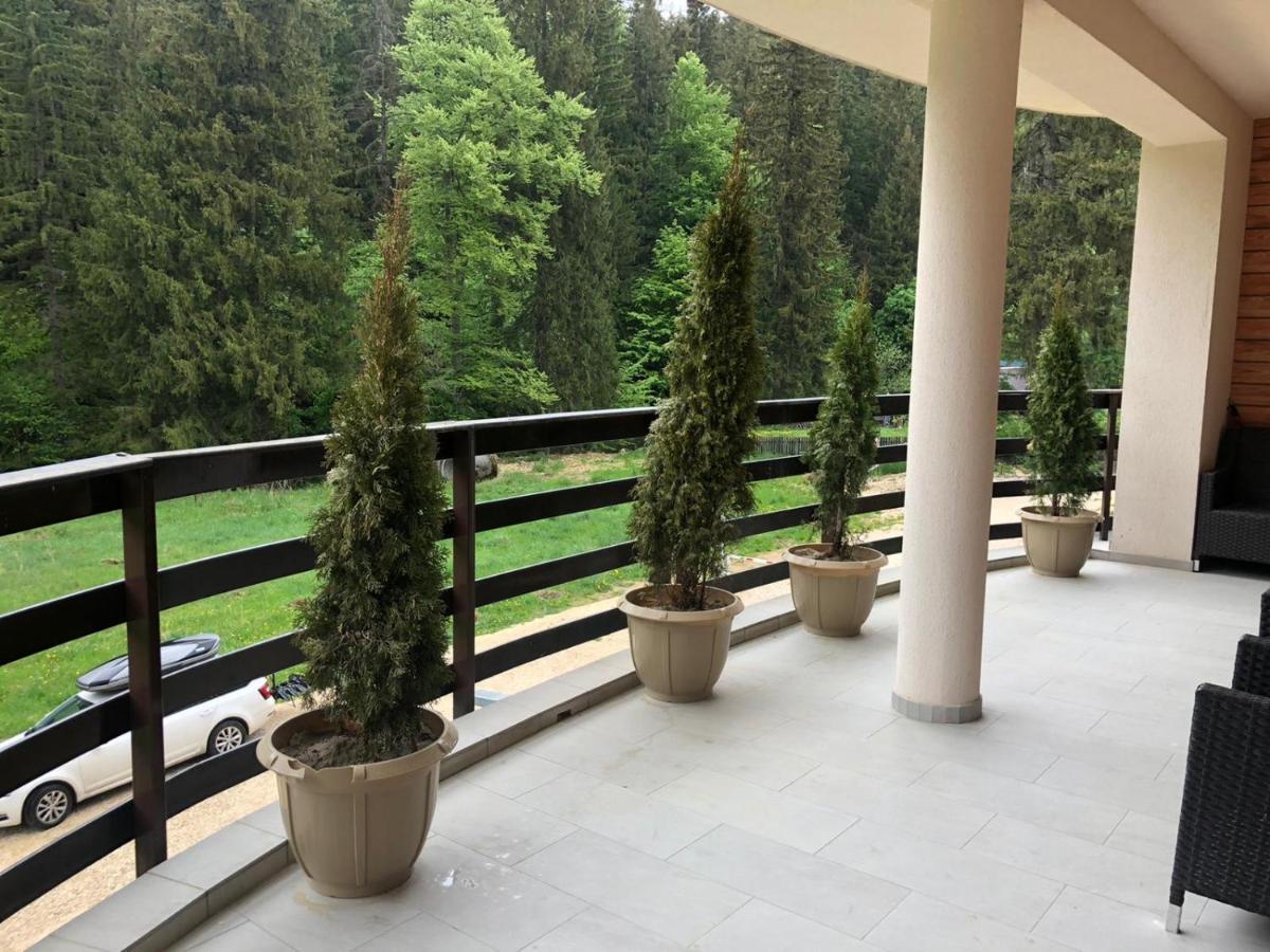 Maya Luxury Residence Poiana Brasov Eksteriør billede