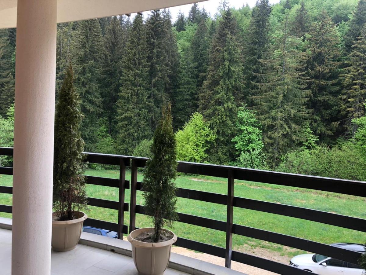 Maya Luxury Residence Poiana Brasov Eksteriør billede