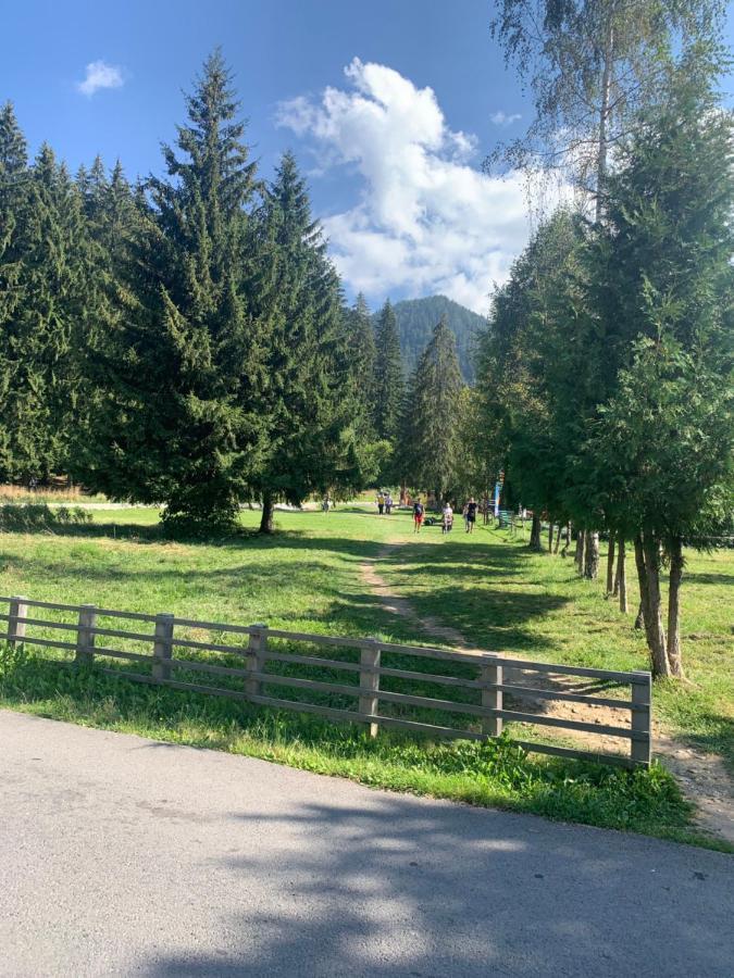 Maya Luxury Residence Poiana Brasov Eksteriør billede
